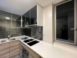 Stars Of Kovan (D19), Apartment #612385361